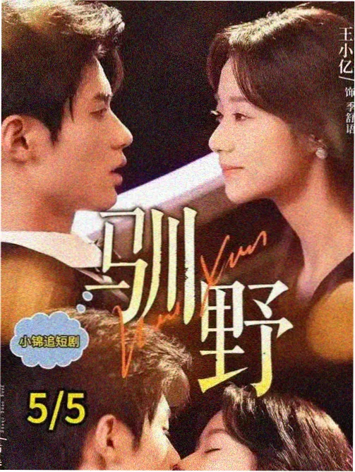 长剧追更节奏表剧集贴纸墙封面图